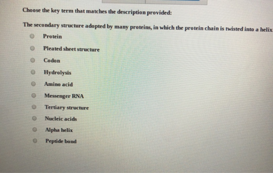 Choose the key term that matches the description provided: The secondary structure adopted by many proteins, in which the pro