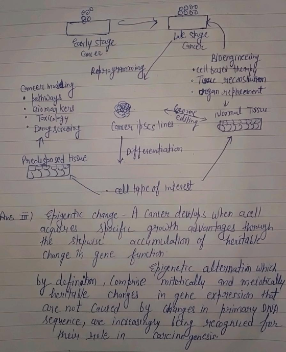 Cancer ! - Differentiation Lake stage Ecorly stage Cancer Bioengineering Reprogramming ocell based therapy Tissue reconstruti