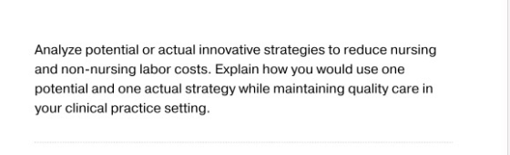 Analyze potential or actual innovative strategies to reduce nursing and non-nursing labor costs. Explain how you would use on