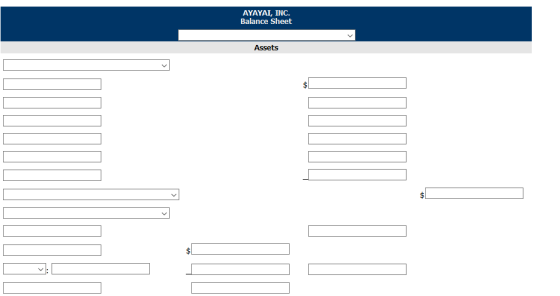 AYAYAI, INC. Balance Sheet Assets