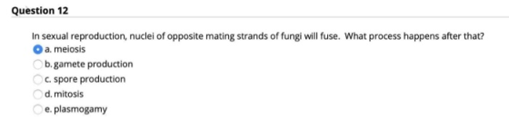 Question 12 In sexual reproduction, nuclei of opposite mating strands of fungi will fuse. What process happens after that? a.