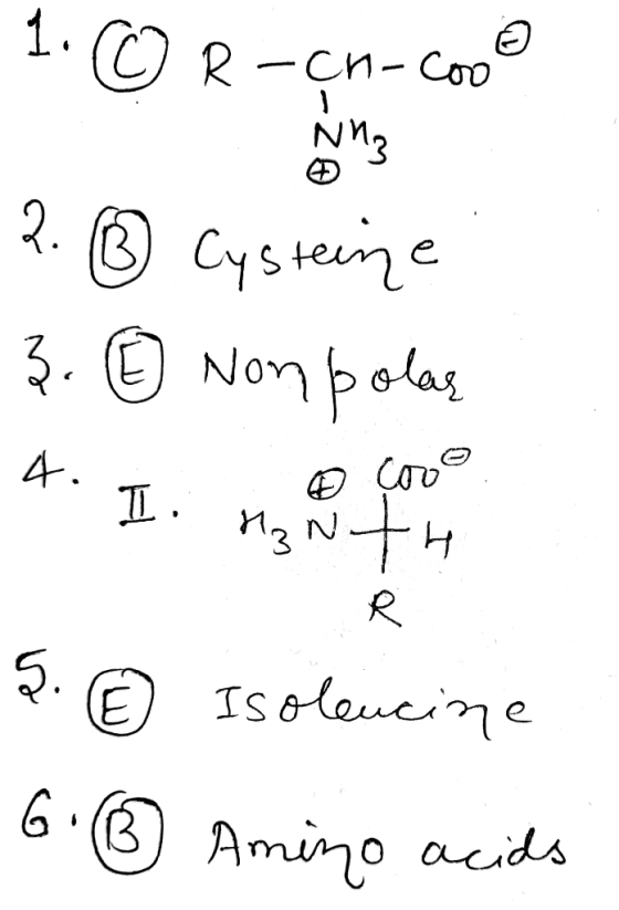 Nhz 1.© R-çn-coo@ 2. ® Cysteine 3. 0 Nonpolas 4. I. nie ma tu S. G © Isoleucine ® Amino acids