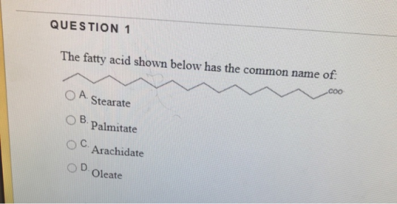 QUESTION 1 The fatty acid shown below has the common name of coo O A Stearate OB.Palmitate OC. Arachidate OD Oleate