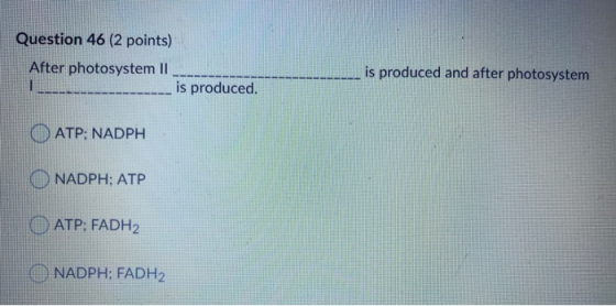 Question 46 (2 points) After photosystem II is produced. is produced and after photosystem O ATP; NADPH NADPH; ATP ATP; FADH2