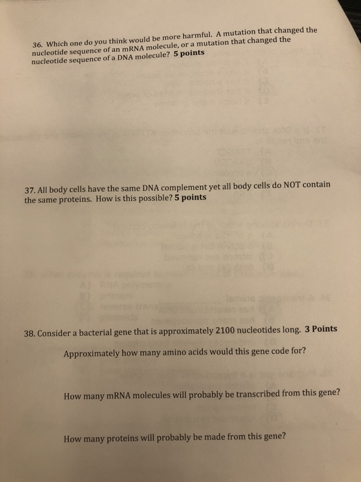 36. Which one do you think would be more harmful. A mutation that changed the nucleotide sequence of an mRNA molecule, or a m