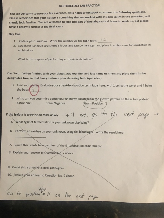BACTERIOLOGY LAB PRACTICAL You are welcome to use your lab exercises, class notes or textbook to answer the following questio