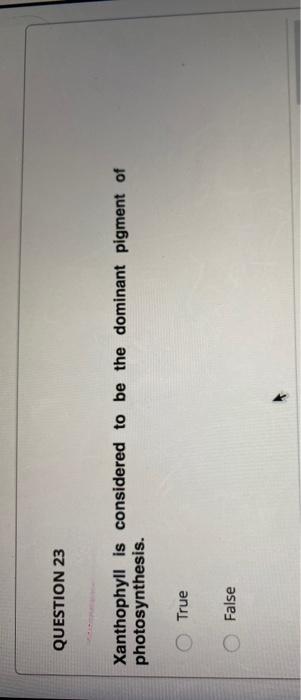 QUESTION 23 Xanthophyll is considered to be the dominant pigment of photosynthesis. O True O False