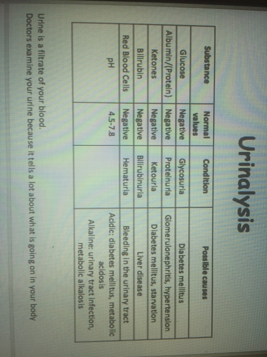 Urinalysis Condition Possible causes Substance Normal values Glucose Negative Albumin/(Protein) Negative Ketones Negative Bil