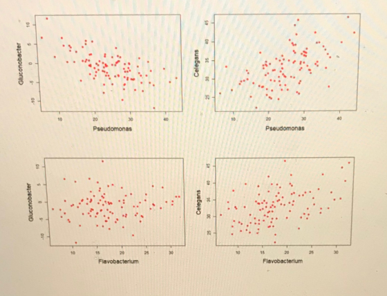 10 30 10 20 40 Pseudomonas Pseudomonas 10 15 20 2530 10 15 25 Flavobacterium Flavobacterium