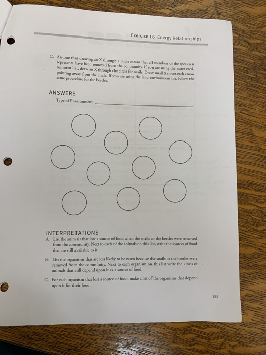 Exercise 16 Energy Relationships C Assume that drawing an X through a circle means that all members of the species it represe
