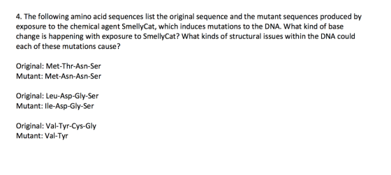 4. The following amino acid sequences list the original sequence and the mutant sequences produced by exposure to the chemical agent SmellyCat, which induces mutations to the DNA. What kind of base change is happening with exposure to SmellyCat? What kinds of structural issues within the DNA could each of these mutations cause? Original: Met-Thr-Asn-Ser Mutant: Met-Asn-Asn-Ser Original: Leu-Asp-Gly-Ser Mutant: Ile-Asp-Gly-Ser Original: Val-Tyr-Cys-Gly Mutant: Val-Tyr