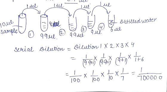 Iue lue lui Lue o louet E E loue Ofstilled water sample bull o aque & a que a serial Dilution - Dilution 1 X 2 X 3 X 4 = 4 un