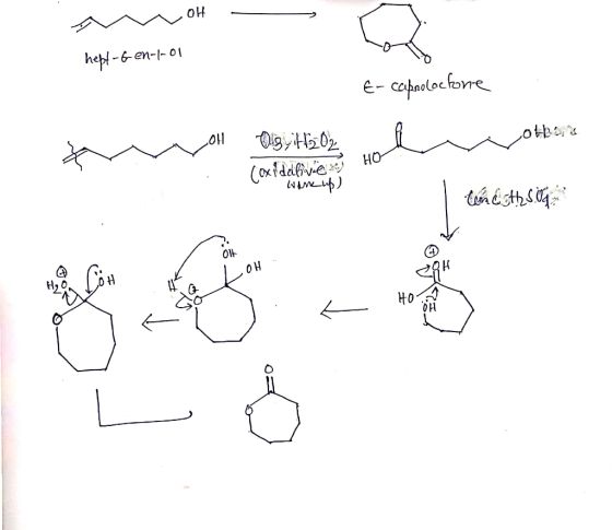 a OH heft-Gen-I-01 6- ccapnolocfone others 2011 Olgy H2O2 . Coxidabile sa HO wameup) time thSog HO. 10 aq