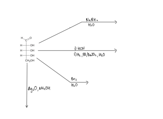 NaBlu H2O H H ОН H ОН 1 HEN 2) H₂, Pd/BaSO4 H₂O — H -ОН CH,OH Brz H₂O An:0 мион
