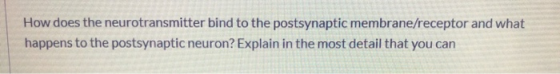 How does the neurotransmitter bind to the postsynaptic membrane/receptor and what happens to the postsynaptic neuron? Explain