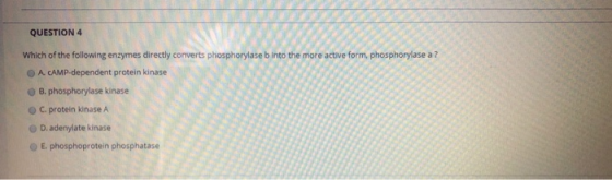 QUESTION 4 Which of the following enzymes directly converts phosphorylaseb into the more active form, phosphorylase a? A. CAM