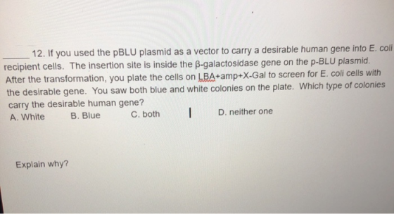 12. If you used the PBLU plasmid as a vector to carry a desirable human gene into E. coli recipient cells. The insertion site