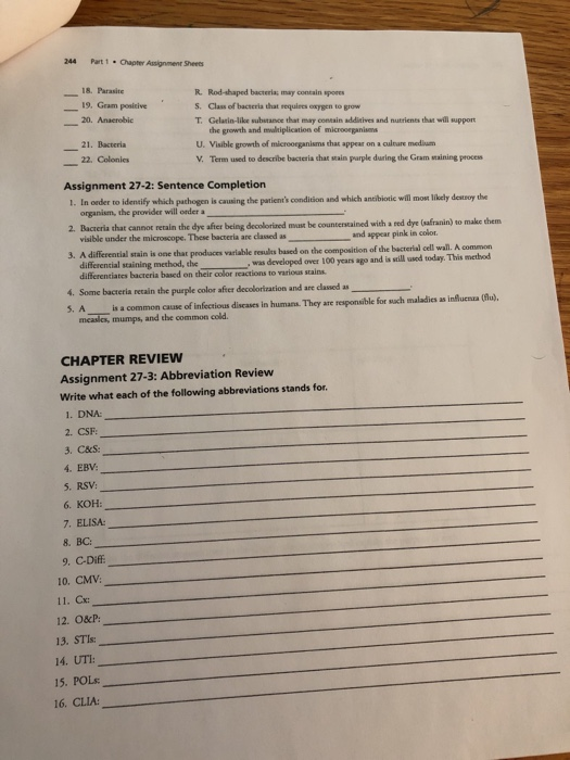 244 Part 1 Chapter Assignment Sheets 18. Parasite ___19. Gram positive 20. Anaerobic R. Rod-shaped bacterias may contain spor