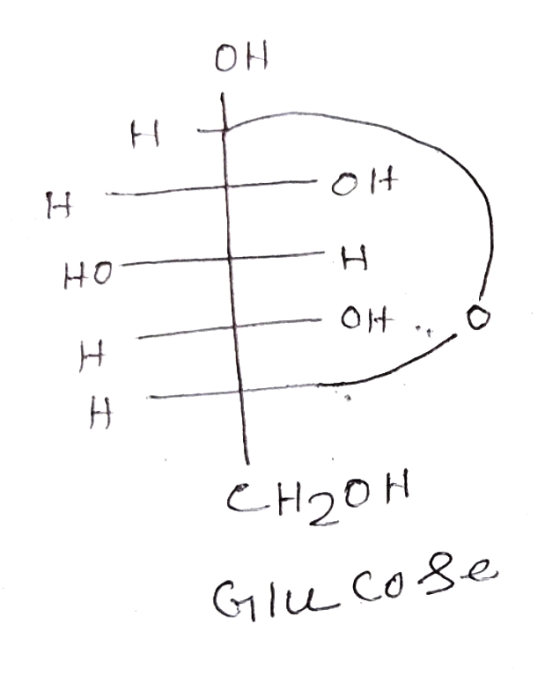 — + Гото но — Он .. о СН2ОН Glucose