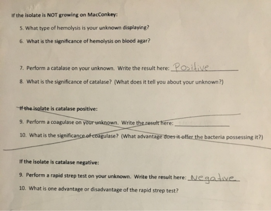 If the isolate is NOT growing on MacConkey: 5. What type of hemolysis is your unknown displaying? 6. What is the significance