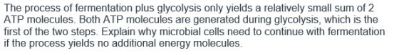 The process of fermentation plus glycolysis only yields a relatively small sum of 2 ATP molecules. Both ATP molecules are gen