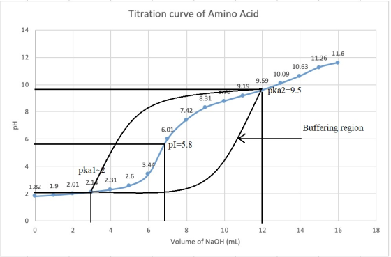 Titration curve of Amino Acid 14 11.6 12 11.26 10.63 10.09 9.59 10 9.19 pka2=9.5 8.31 7.42 8 Buffering region 6.01 6 pI=5.8 3