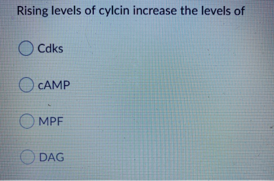 Rising levels of cylcin increase the levels of OCdks O CAMP o MPF DAG