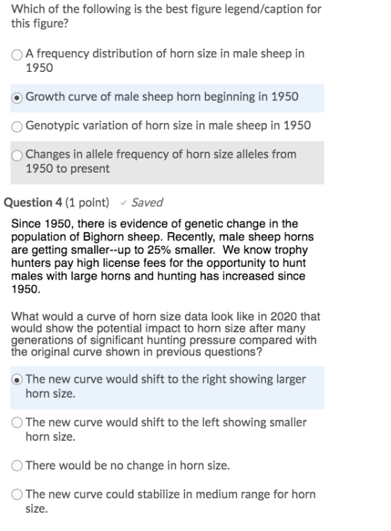 Which of the following is the best figure legend/caption for this figure? A frequency distribution of horn size in male sheep