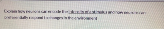 Explain how neurons can encode the intensity of a stimulus and how neurons can preferentially respond to changes in the envir