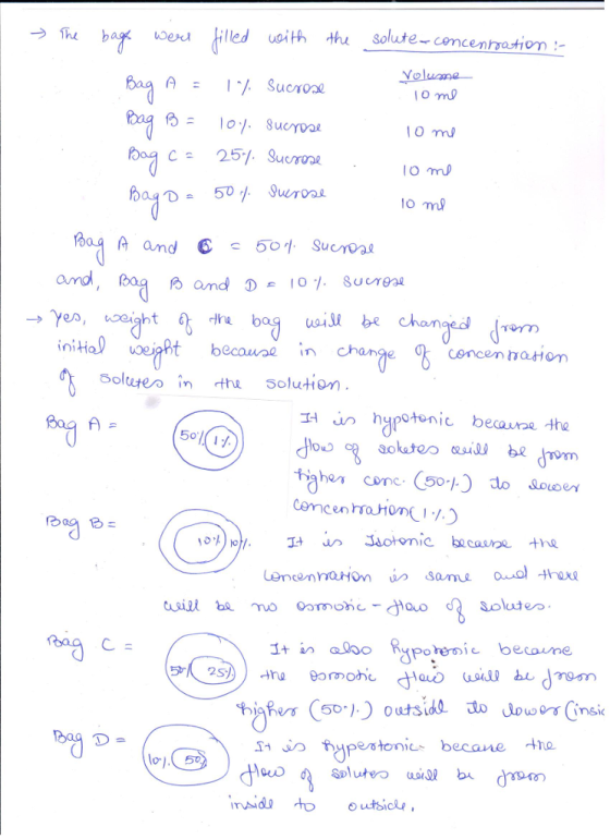 r illed uith thu solute-cencentration Yolume lo mo amd and 0 8urga nit uoeight becau change Soluteo inthu Solution concem atom in hypotonic becaune-He 50 50-j. i becaume