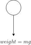 weight- mg
