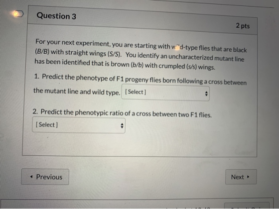 Question 3 2 pts For your next experiment, you are starting with wºd-type flies that are black (B/B) with straight wings (S/S