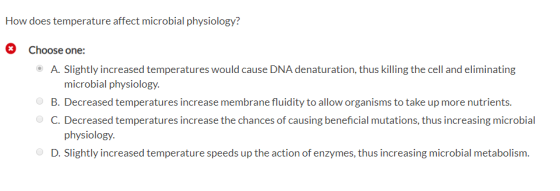 How does temperature affect microbial physiology? Choose one: • A. Slightly increased temperatures would cause DNA denaturati
