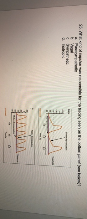 25. What kind of impulse was responsible for the tracing seen on the bottom panel (see below)? a. Parasympathetic b. Vagal c. Sympathetic d. Inotropic Theshold