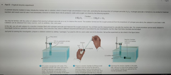 1 of 1 Part D-A typical enzyme experiment A common enzyme studied in many introductory biology labs is catalase, which is fou