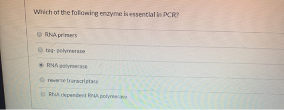 Which of the following enzyme is essential in PCR? RNA primers taq- polymerase • RNA polymerase reverse transcriptase ORNA de