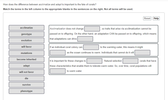 How does the difference between acclimatize and adapt is important to the fate of corals? Match the terms in the left column