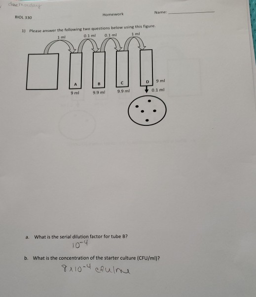 BIOL 330 Name: Homework 1) Please answer the following two questions below using this figure 0.1 ml 1 ml 0.1 ml 1 ml 9.9 ml 9