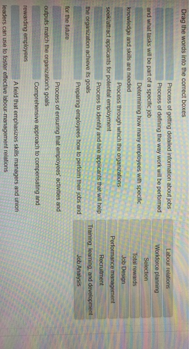 Labour relations Workforce planning Selection Total rewards Drag the words into the correct boxes Process of getting detailed