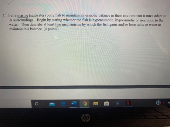 3. For a marine (saltwater) bony fish to maintain an osmotic balance in their environment it must adapt to its surroundings.