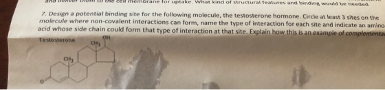 Ha uene et the mbrane tor uptake. What kind of structural features and binding would be reeded 7. Design a potential binding site for the following molecule, the testosterone hormone. Circle at least 3 sites on the molecule where non-covalent interactions can form, name the type of interaction for each site and indicate an amino acid whose side chain could form that type of interaction at that site. E Testosterone CH 0