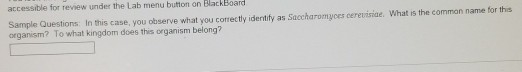accessible for review under the Lab menu button on BlacRBoard What is the comman name for this Sample Questions In this case,