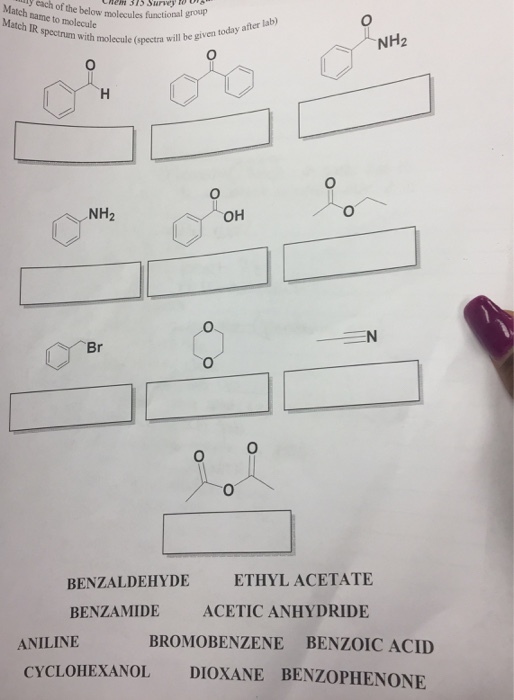 10 0 Mattbelowrneg etch IR spectrum with molecule (spectra wn y each of the below molecules functional hem 315 Survy t ls Match name to molecule will be given today after lab) NH2 NH2 OH Br 0 BENZALDEHYDE ETHYL ACETATE BENZAMIDE ACETIC ANHYDRIDE ANILINE BROMOBENZENE BENZOIC ACID CYCLOHEXANOL DIOXANE BENZOPHENONE
