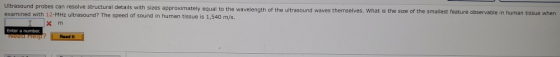 Ultrasound probes can resolve structural details with sizes approximately equal to the wavelength of the ultrasound waves the