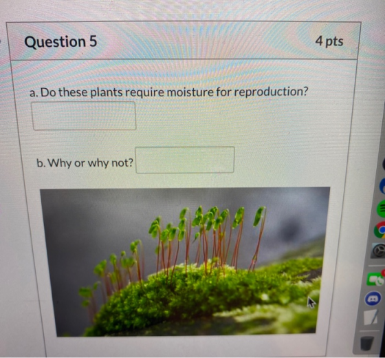 Question 5 4 pts a. Do these plants require moisture for reproduction? b. Why or why not?