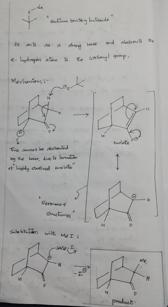 + Sodium terstany butoaide the It acts as as a a strong base strong bat and abstracts to the carbonyl group. x- hydrogen ato
