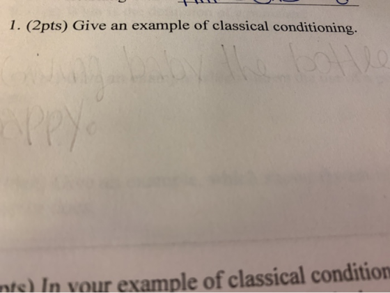 1. (2pts) Give an example of classical conditioning. mte) In vour example of classical condition