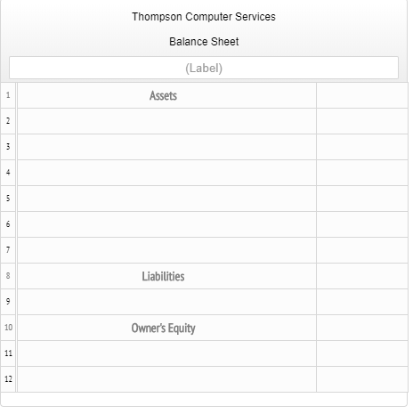 Thompson Computer Services Balance Sheet (Label) Assets Liabilities Owners Equity