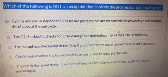 Which of the following is NOT a checkpoint that controls the progression of the cell cycle? 0 Cyclins and cyclin-dependent ki