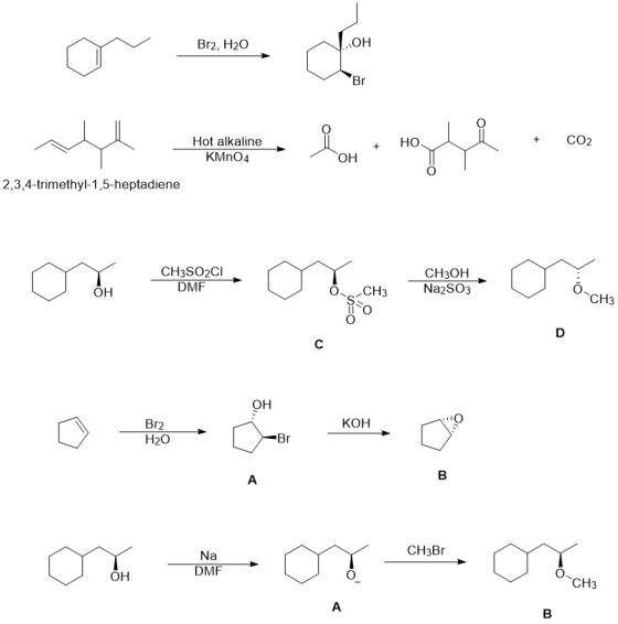 Br2, H20 OH Hot alkaline Hot alkaline KMnO4 i + HO + CO2 он 2,3,4-trimethyl-1,5-heptadiene མས ཤིང བ དང ཡིན ་ མ་ of the organ